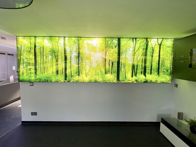 Spanndecke_Wohnzimmer_Wandbild_bedruckt_Wald_Power_Led_Motiv Spanndecke Wandbild Wohnzimmer